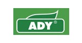 Ady