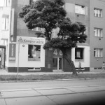 Kooperativa