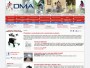 DMAPraha.cz