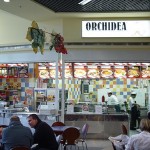 Orchidea