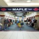 Maple