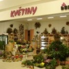 Tano květiny