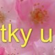 Kytky u Anny
